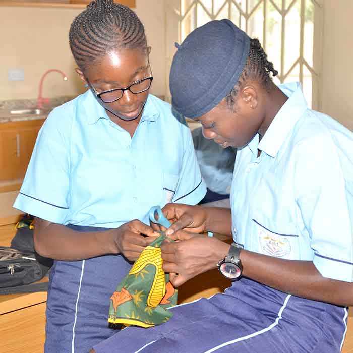 Ameewua-Model-CollegeVocational-Skills